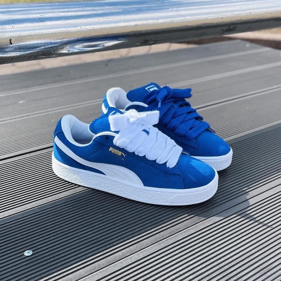 Organic Vegetable Box