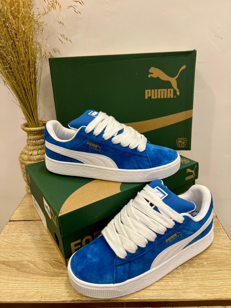 Organic Vegetable Box