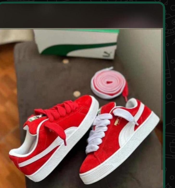 Organic Vegetable Box