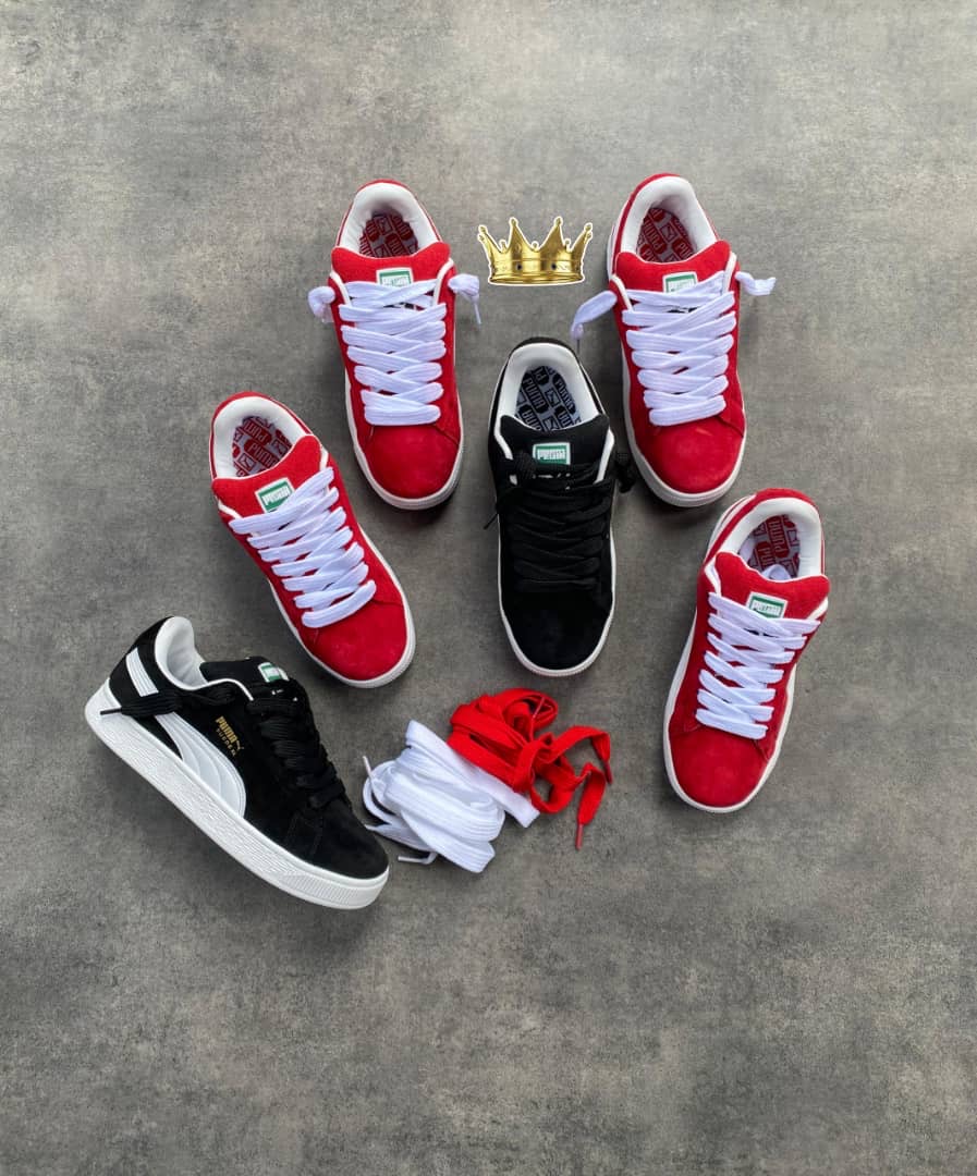 Organic Vegetable Box