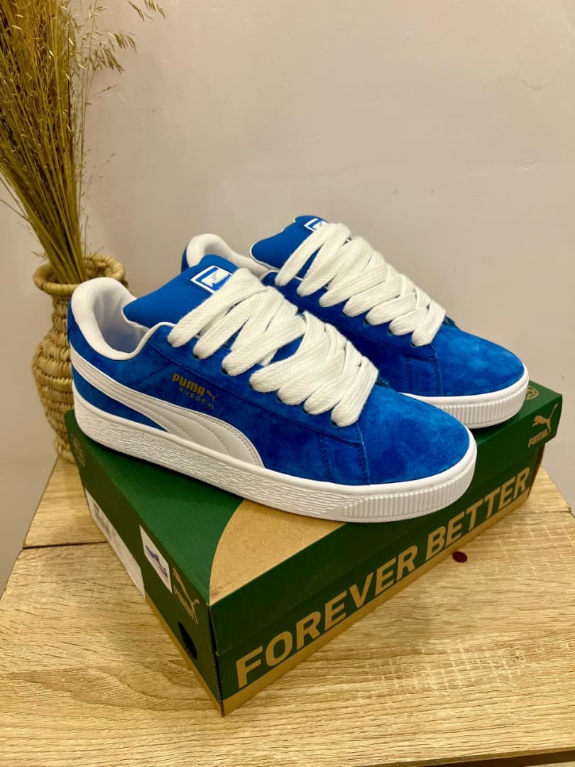 Organic Vegetable Box